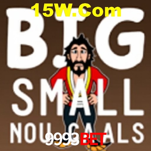 Interface Premium 9993Bet